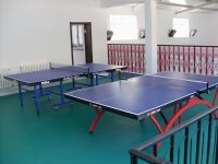 乒乓球pvc地板，乒乓球館地膠