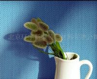 新特?；籍a品圖?；純r格
