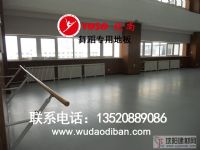 落地固定式舞蹈把桿，一級加厚鑄鐵的舞蹈把桿，穩固安