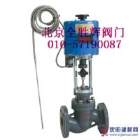 進口電動溫度調節閥品牌，廠家，價格
